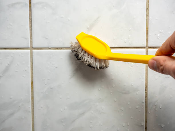 Best Post-Flood Mold Remediation in Weston, NJ